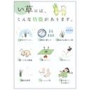 image-option-https://api-hk.donguri.website/tenancy/assets/93PuYNuBusHxt7vDU2yKYtcAtlIjS2Qu9th45s8Y.jpg