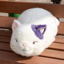image-option-https://api-hk.donguri.website/tenancy/assets/EZtdeUNq5rFYw03CPViRwqapisUFBmz9pvopjNRu.jpg
